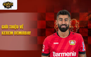 Giới thiệu về kerem demirbay